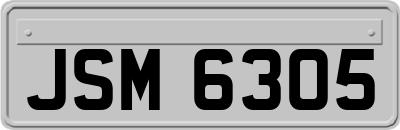JSM6305