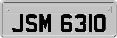 JSM6310