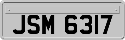 JSM6317