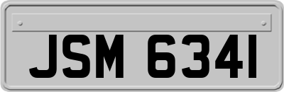 JSM6341