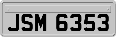 JSM6353
