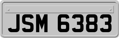 JSM6383