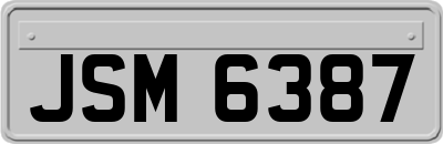 JSM6387