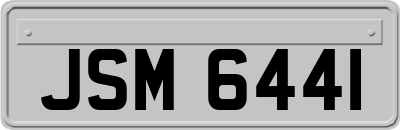 JSM6441