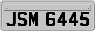 JSM6445