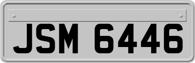 JSM6446