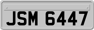 JSM6447
