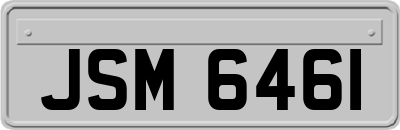 JSM6461