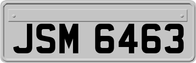 JSM6463