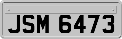JSM6473