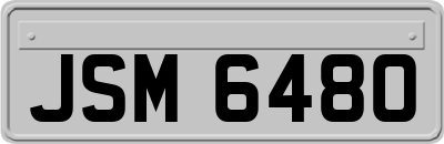 JSM6480