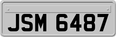 JSM6487