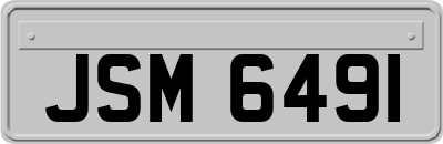JSM6491