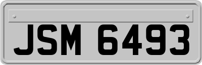 JSM6493