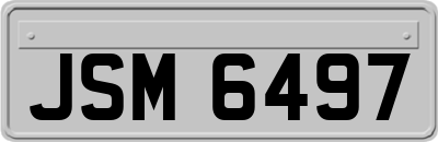 JSM6497