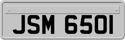 JSM6501