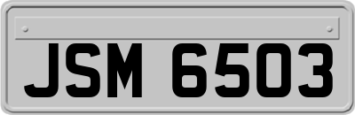 JSM6503