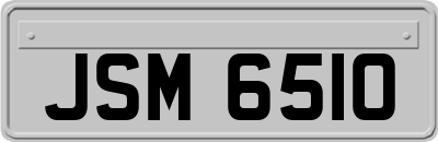 JSM6510