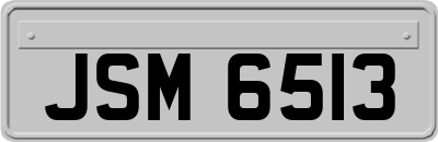 JSM6513