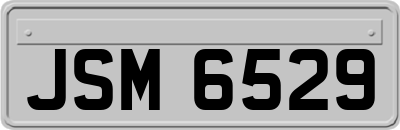 JSM6529