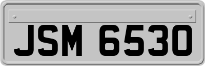 JSM6530
