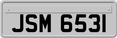JSM6531