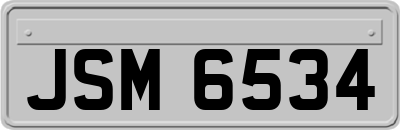 JSM6534