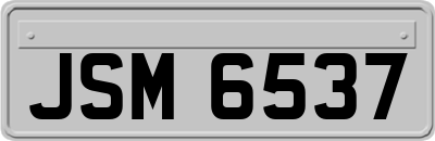 JSM6537