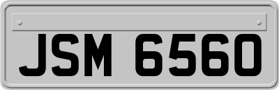 JSM6560
