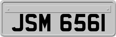 JSM6561