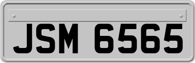 JSM6565