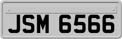 JSM6566