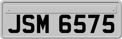 JSM6575