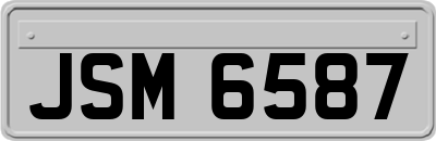 JSM6587