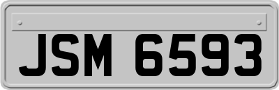 JSM6593
