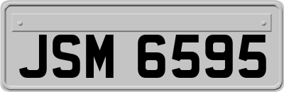 JSM6595