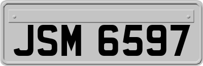 JSM6597