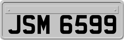 JSM6599