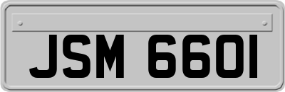 JSM6601