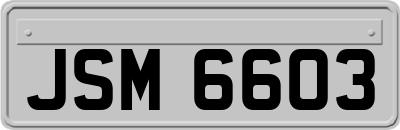JSM6603