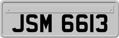JSM6613