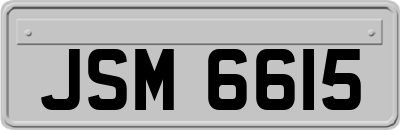 JSM6615