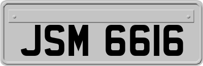 JSM6616