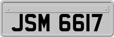 JSM6617