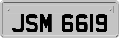 JSM6619