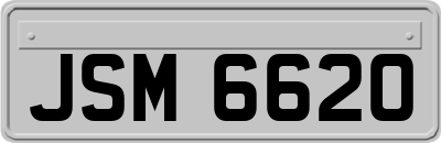 JSM6620