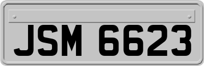 JSM6623