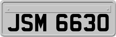JSM6630