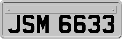 JSM6633