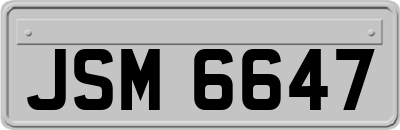 JSM6647